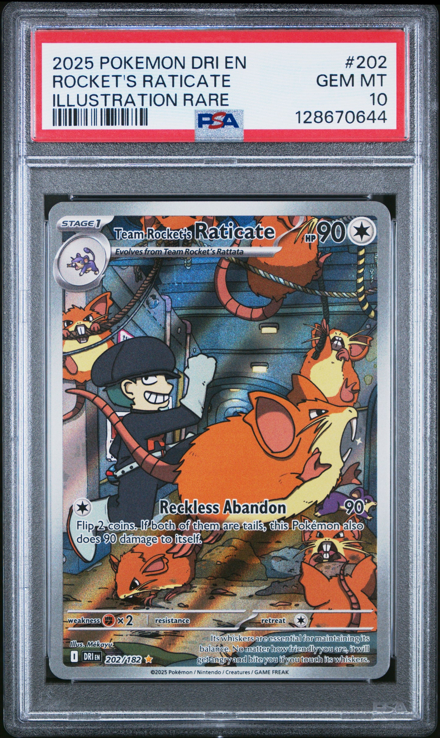 2025 Pokémon DRI EN Team Rocket's Raticate #202 Illustration Rare — PSA 10 Cert #128670644