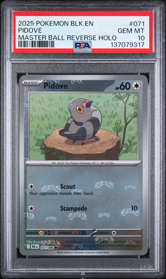 2025 Pokémon BLK EN Pidove #071 Master Ball Reverse Holo PSA 10 Cert #137079317