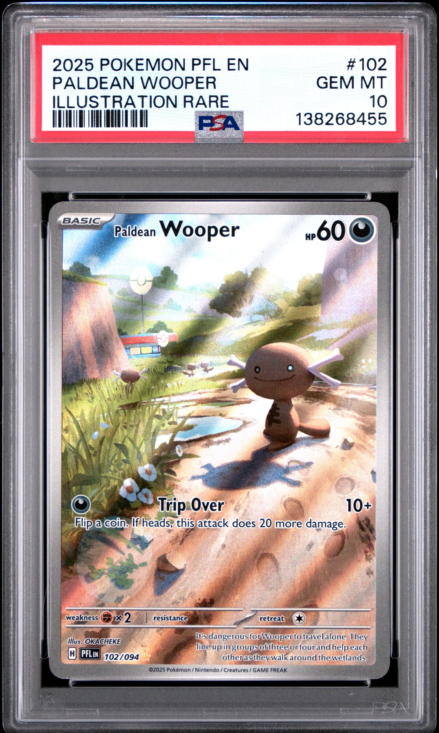2025 Pokémon PFL EN Phantasmal Flames Paldean Wooper #102 Illustration Rare PSA 10 Cert #138268455