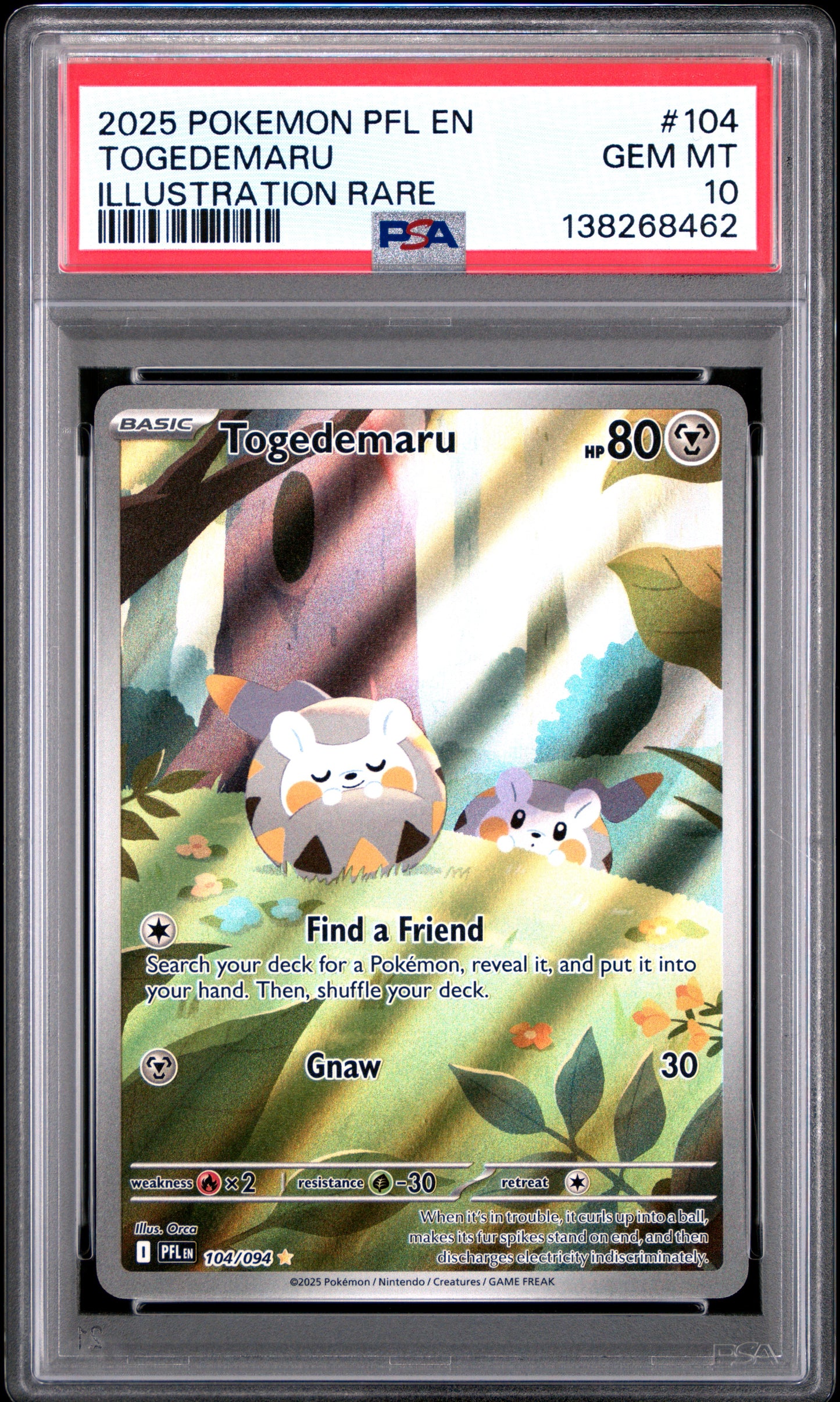 2025 Pokémon PFL EN Phantasmal Flames Togedemaru #104 Illustration Rare PSA 10 Cert #138268462